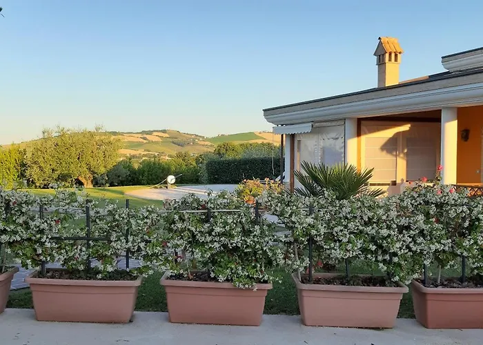 B&B Agrifoglio