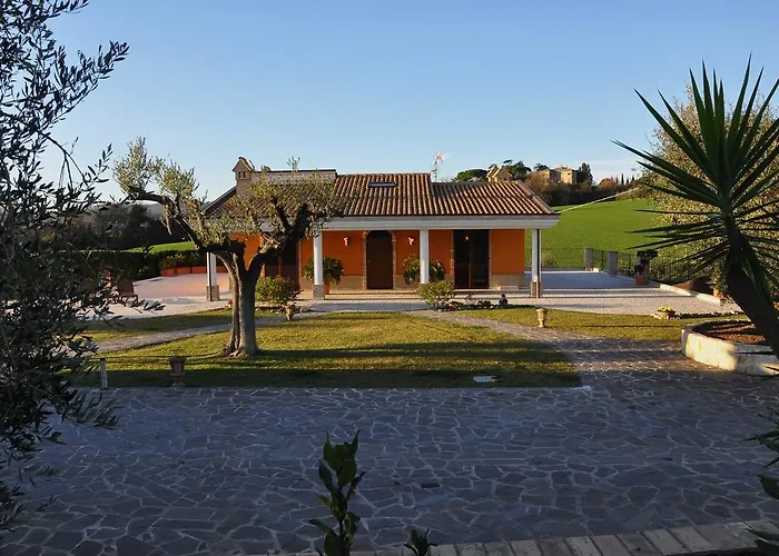 B&B Agrifoglio