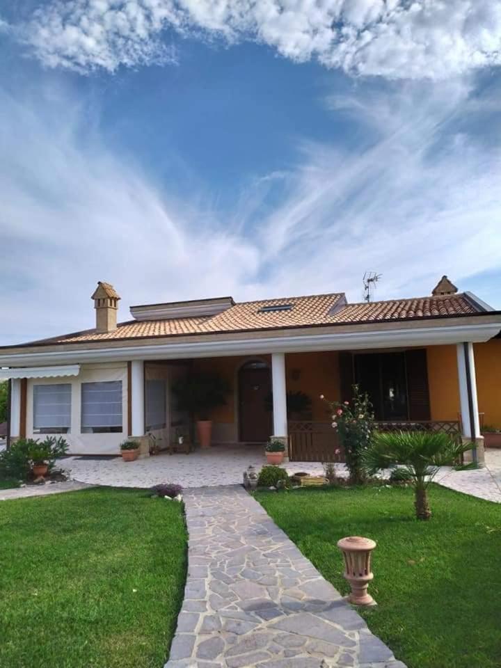 Agrifoglio