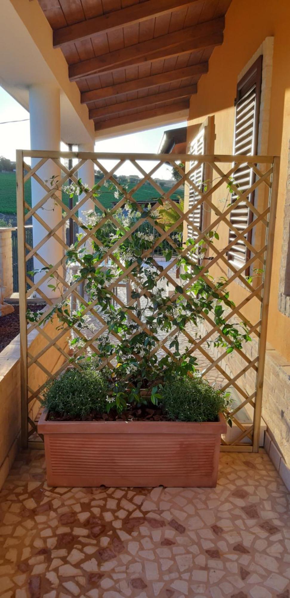 Agrifoglio Bed & Breakfast SantʼElpidio a Mare