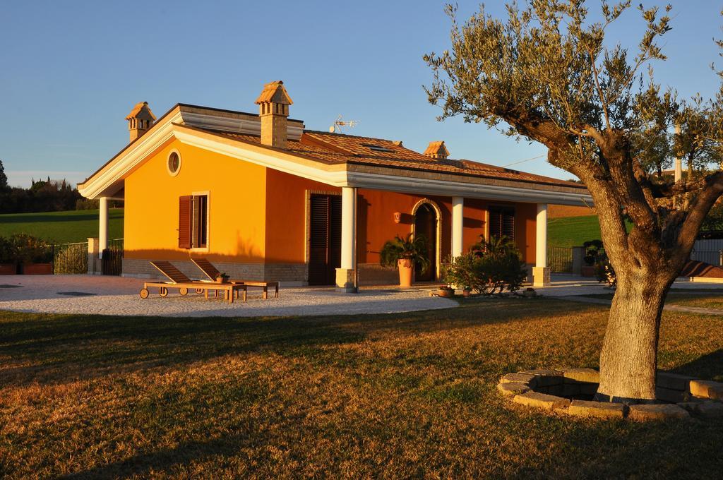 Agrifoglio